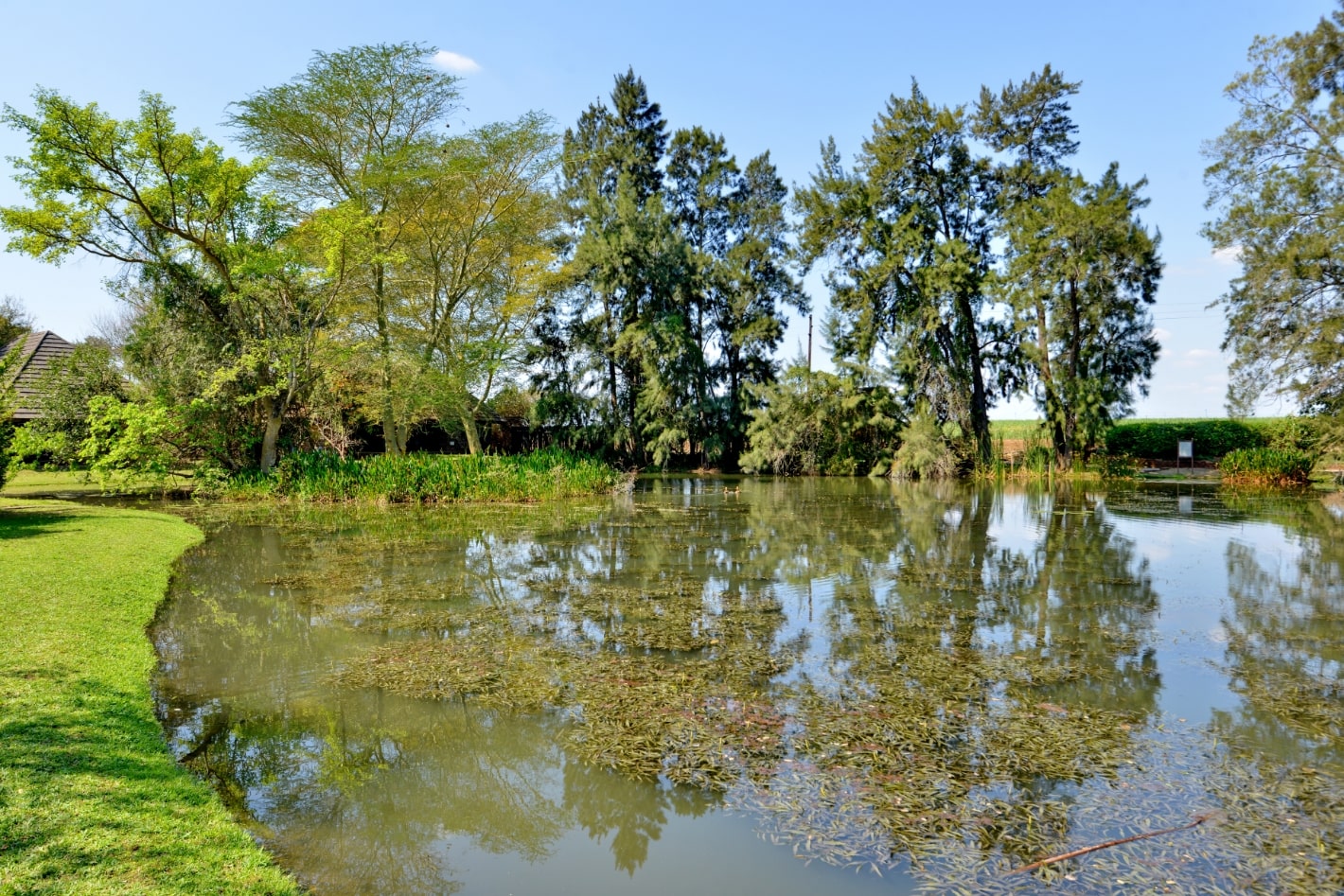 Pond View Chalets Image 5-min